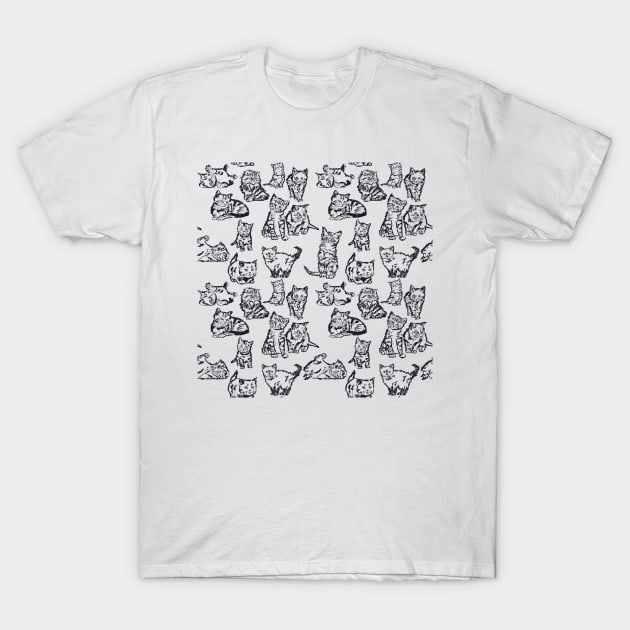 Kittens! T-Shirt by missdebi27